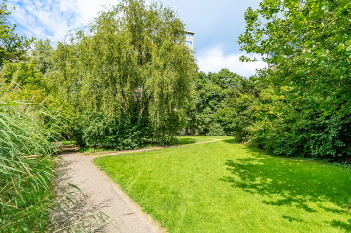 Foto 35 van Meander 291