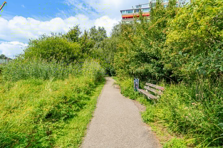 Foto 36 van Meander 291