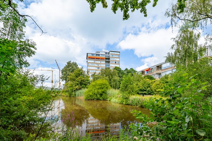 Foto 37 van Meander 291