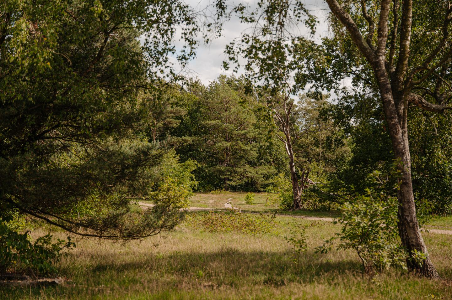 Foto 4 van Betje Wolfflaan 68