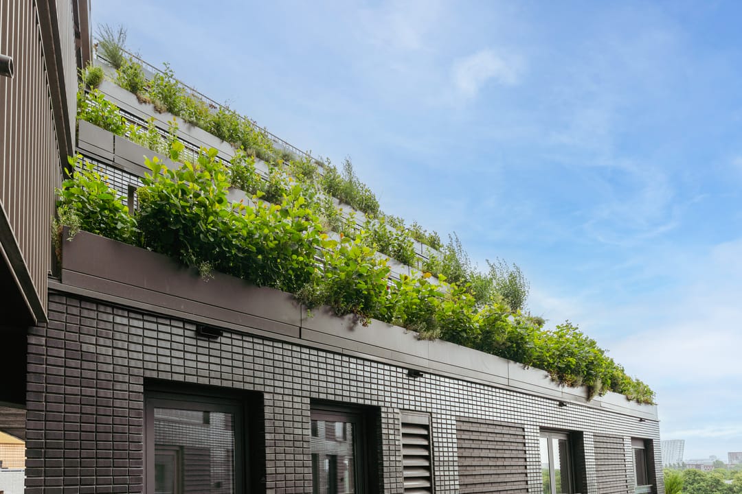 Foto 2 van Lutonhof 445