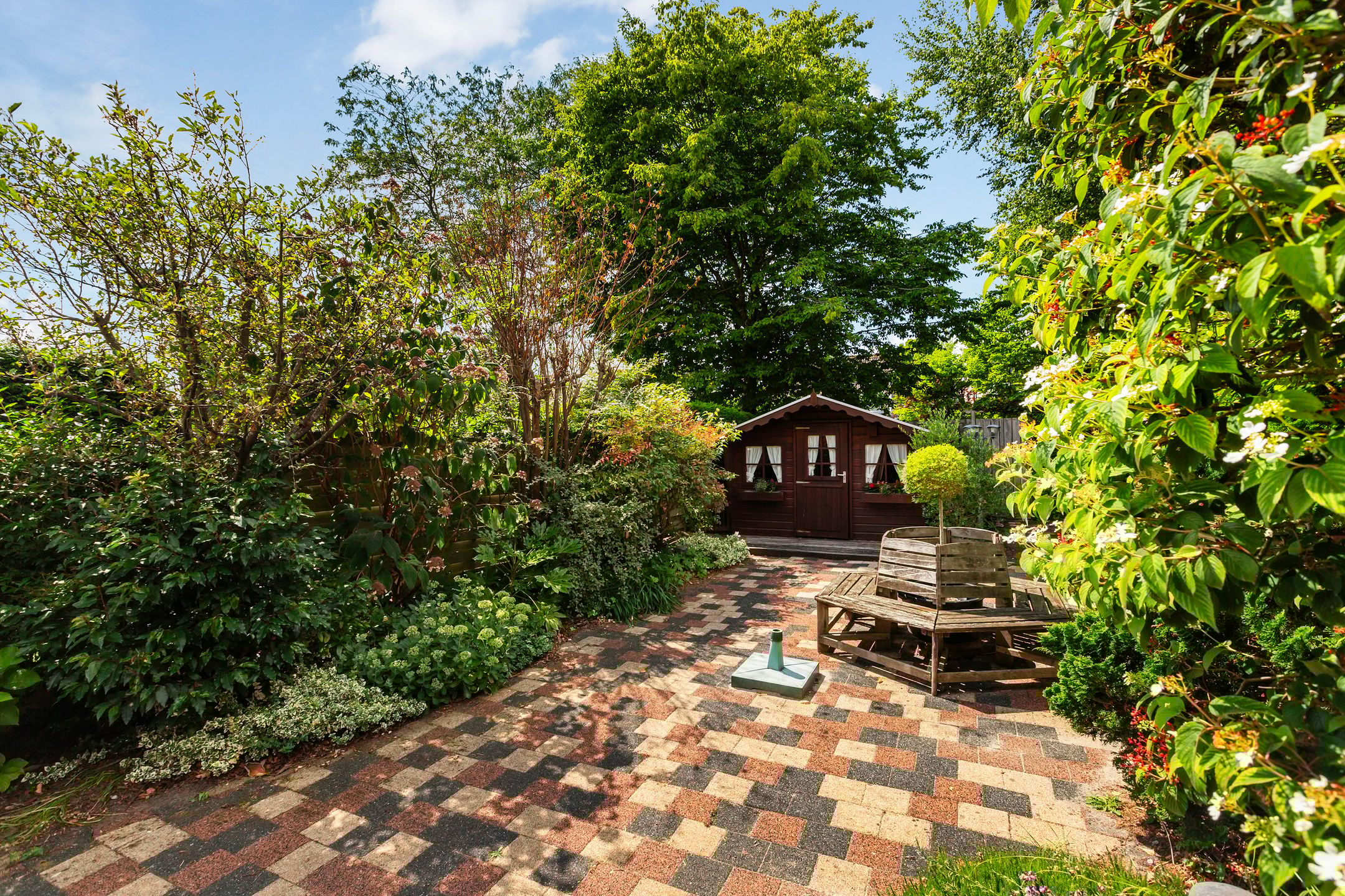 Foto 15 van Kievit 15