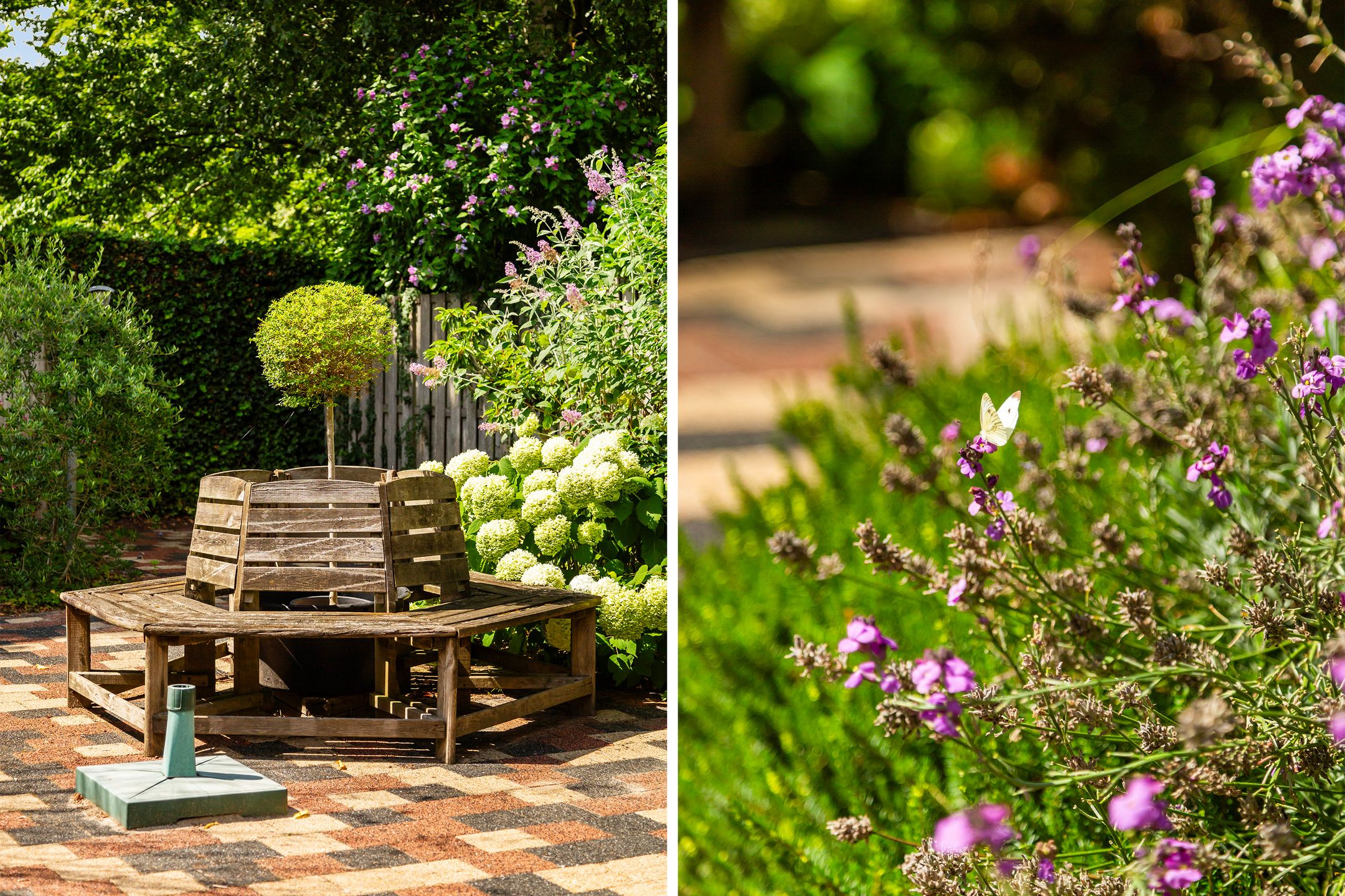 Foto 18 van Kievit 15