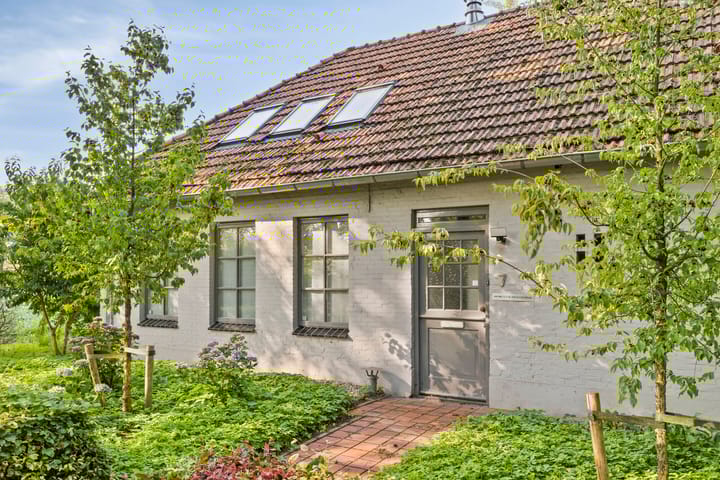 Foto 4 van Brandsestraat 7