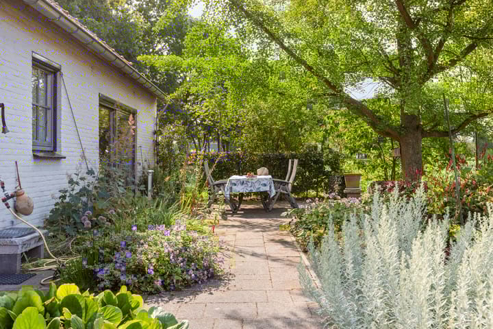 Foto 29 van Brandsestraat 7