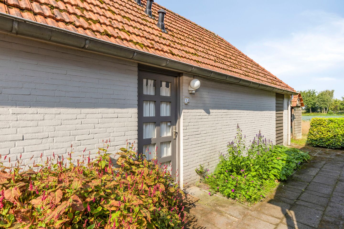 Foto 35 van Brandsestraat 7