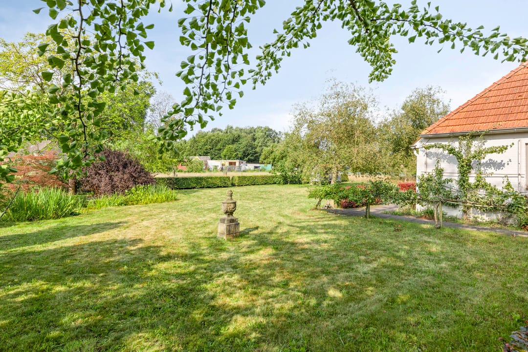 Foto 43 van Brandsestraat 7