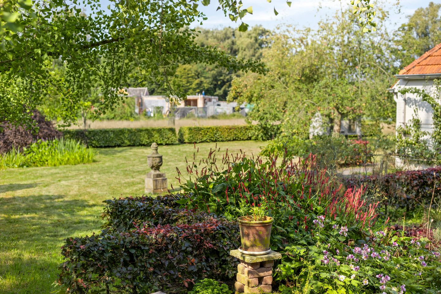 Foto 44 van Brandsestraat 7