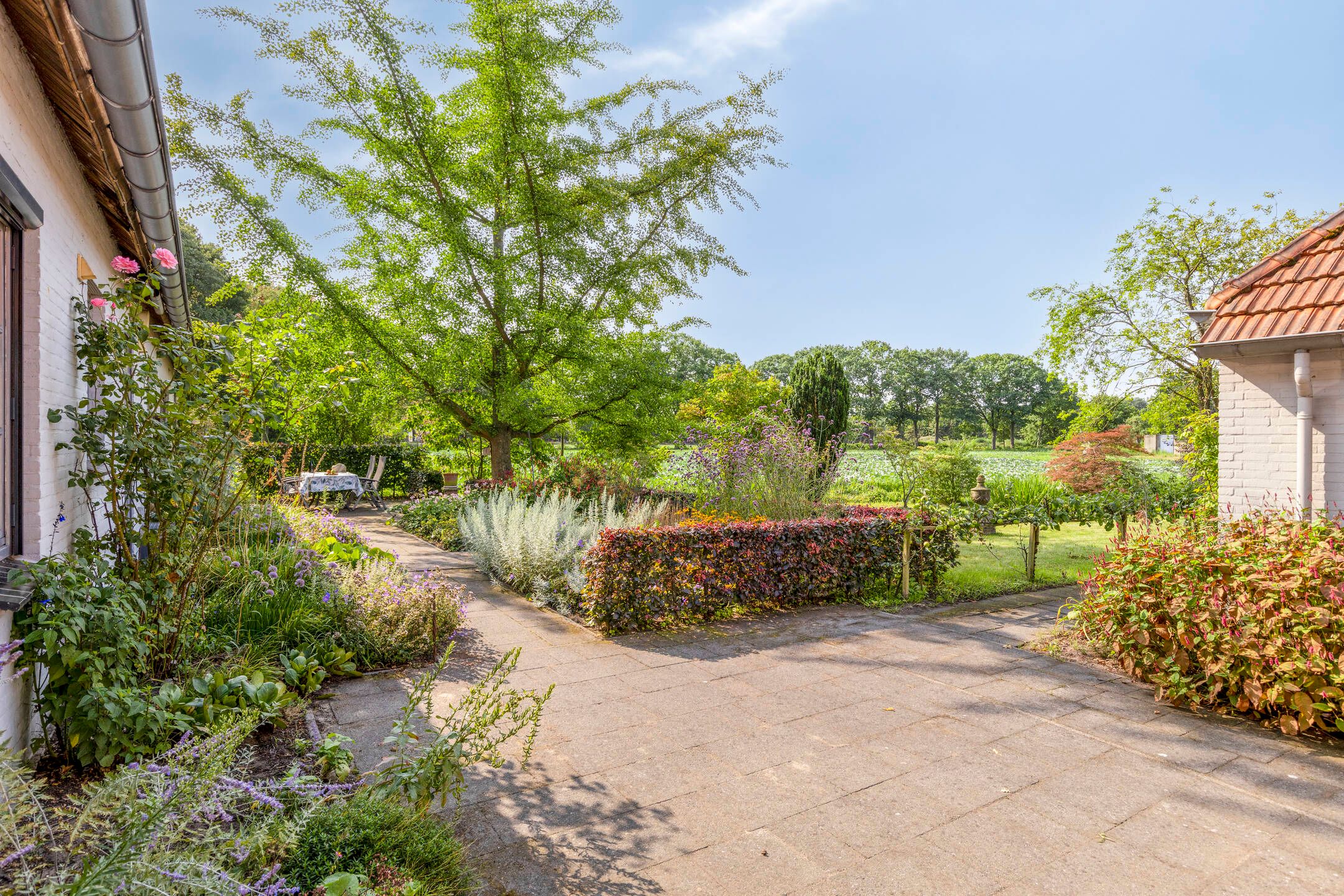 Foto 45 van Brandsestraat 7