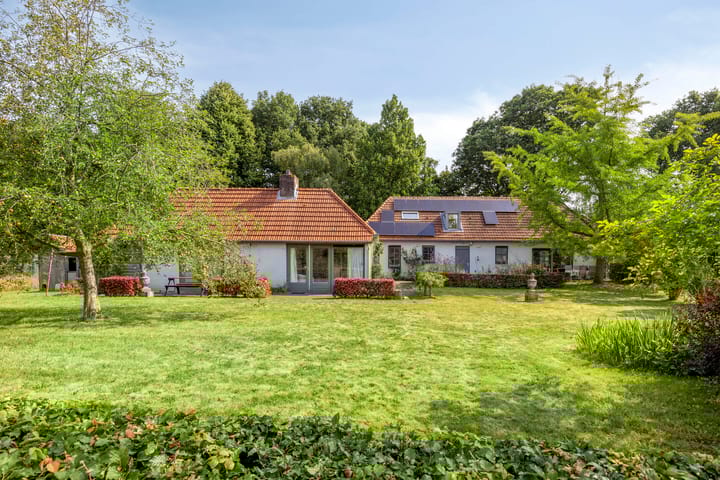 Foto 49 van Brandsestraat 7