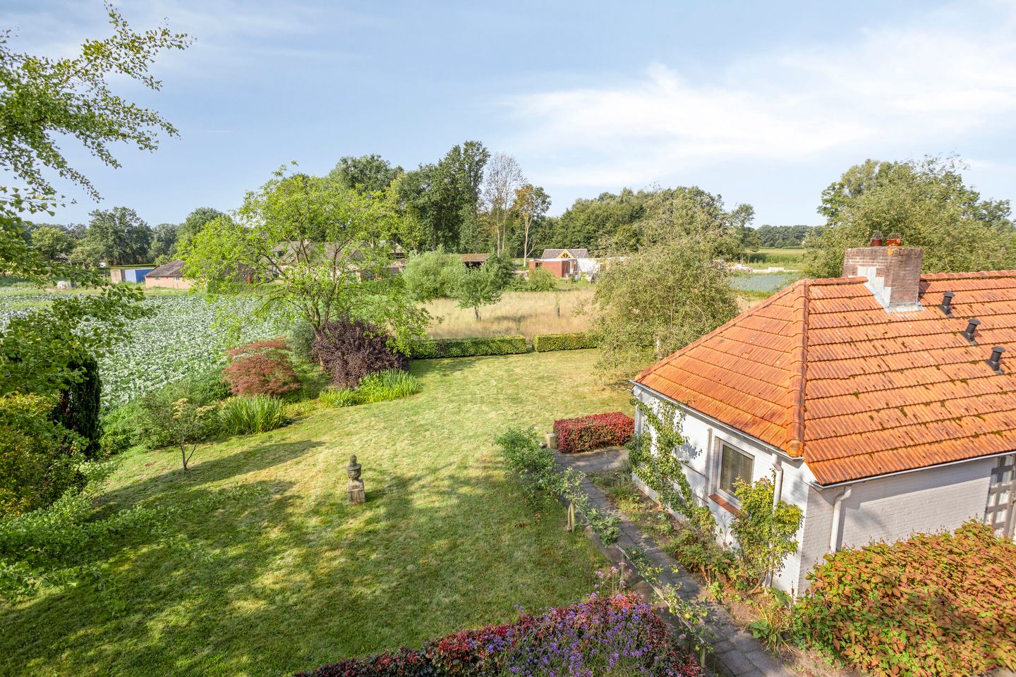 Foto 50 van Brandsestraat 7