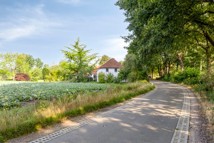 Foto 55 van Brandsestraat 7