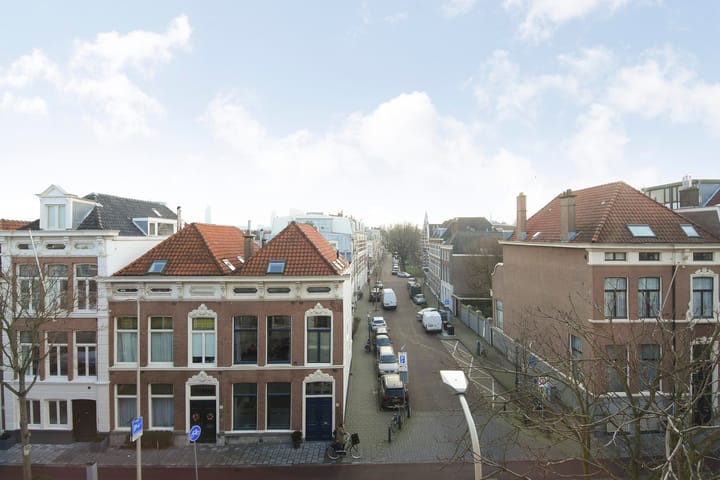 Foto 3 van Laan Copes van Cattenburch 60-C