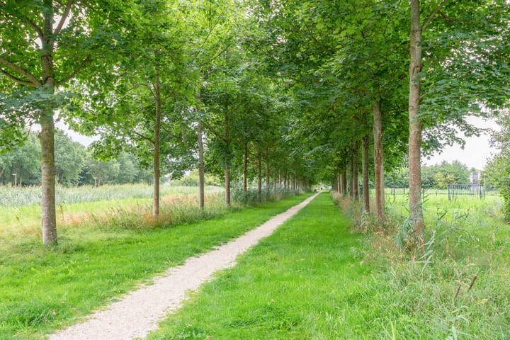 Foto 29 van Daan Hoeksemastraat 7