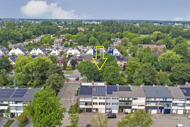 Foto 2 van Pieter Soutmanlaan 41