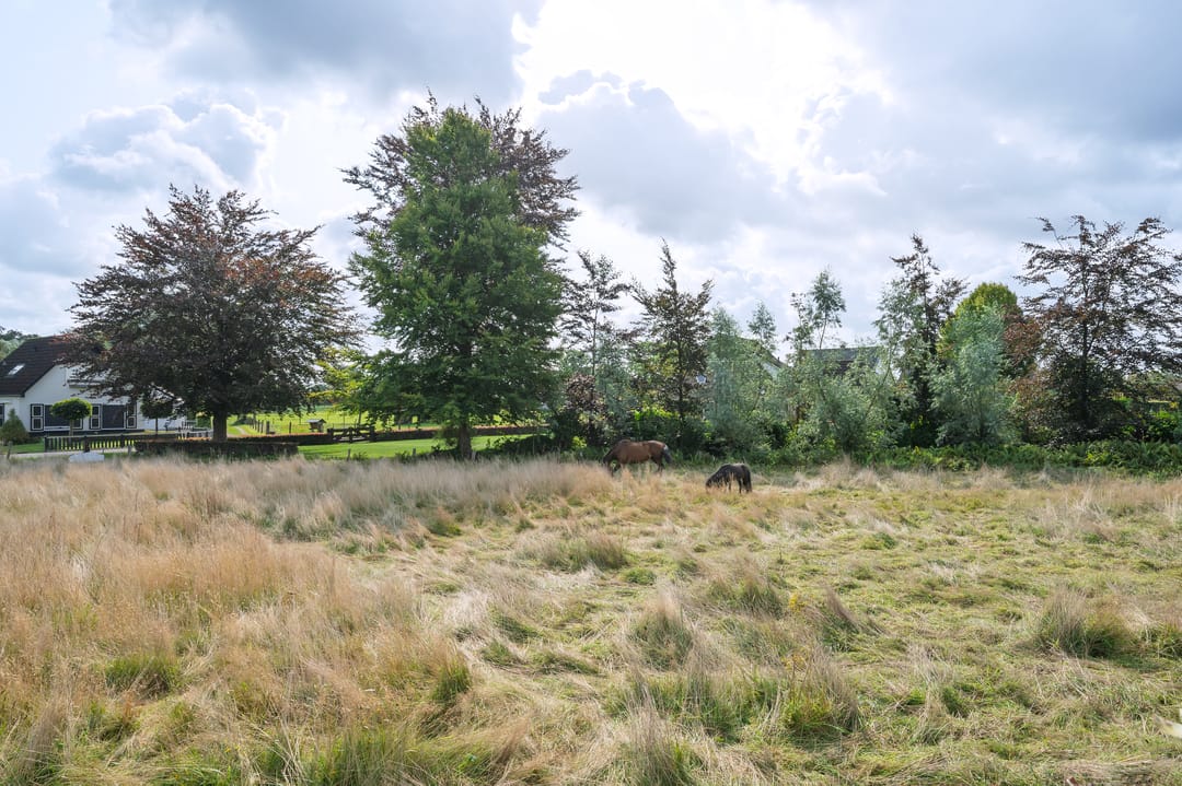 Photo 23 of Horstweg 29-B