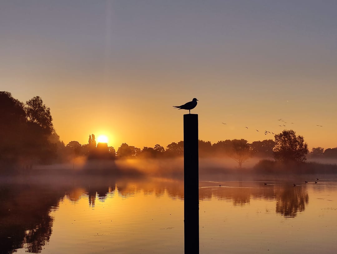 Photo 38 of Zaaiwaard 3-A15