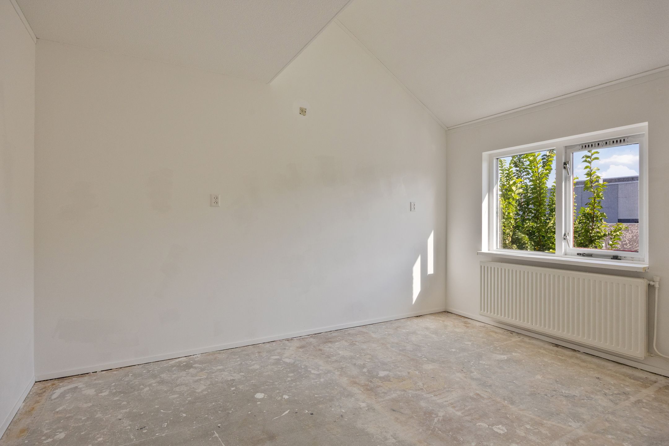 Foto 21 van Poolster 14