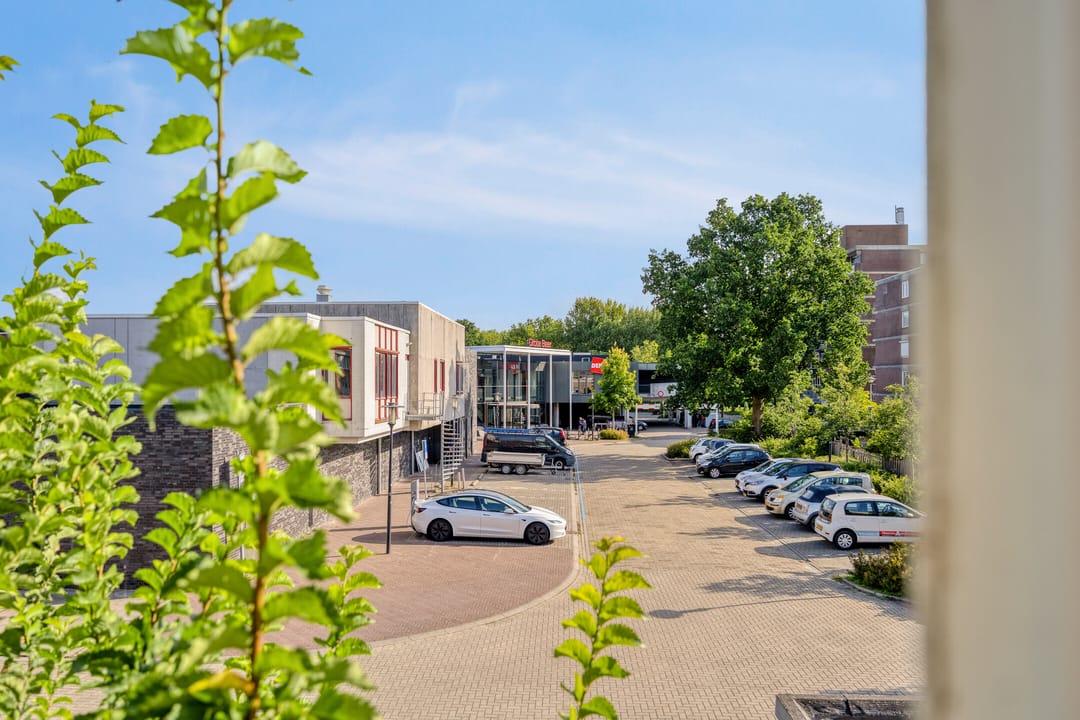 Foto 23 van Poolster 14