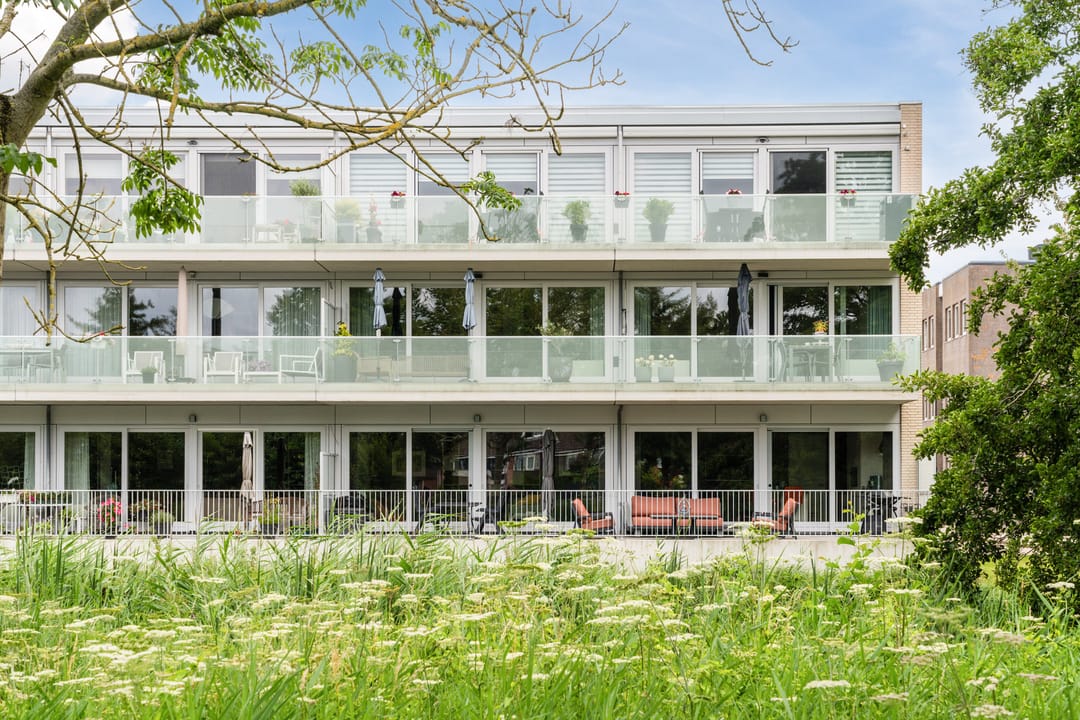 Foto 1 van Koraal 102