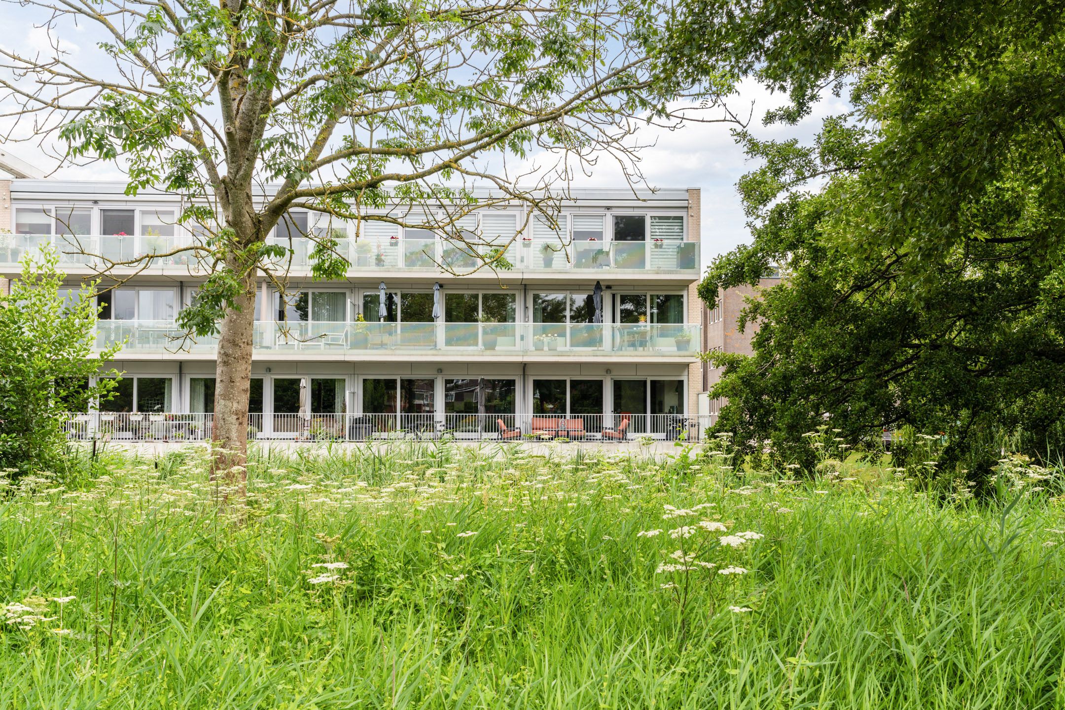 Foto 45 van Koraal 102