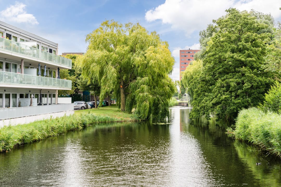 Foto 47 van Koraal 102