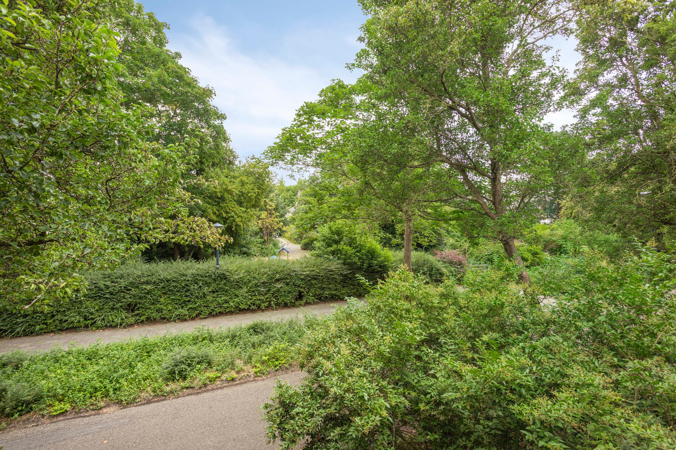 Foto 15 van Boogschutter 74