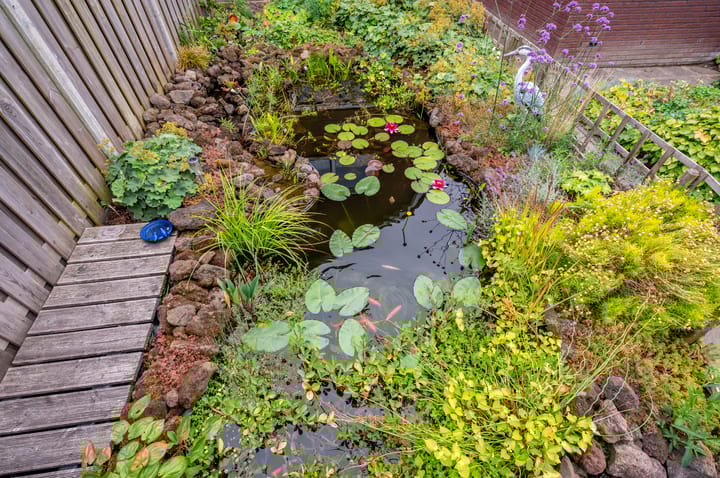 Foto 41 van Timmerliedengilde 58