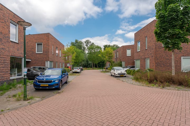 Foto 48 van de Doelen 61