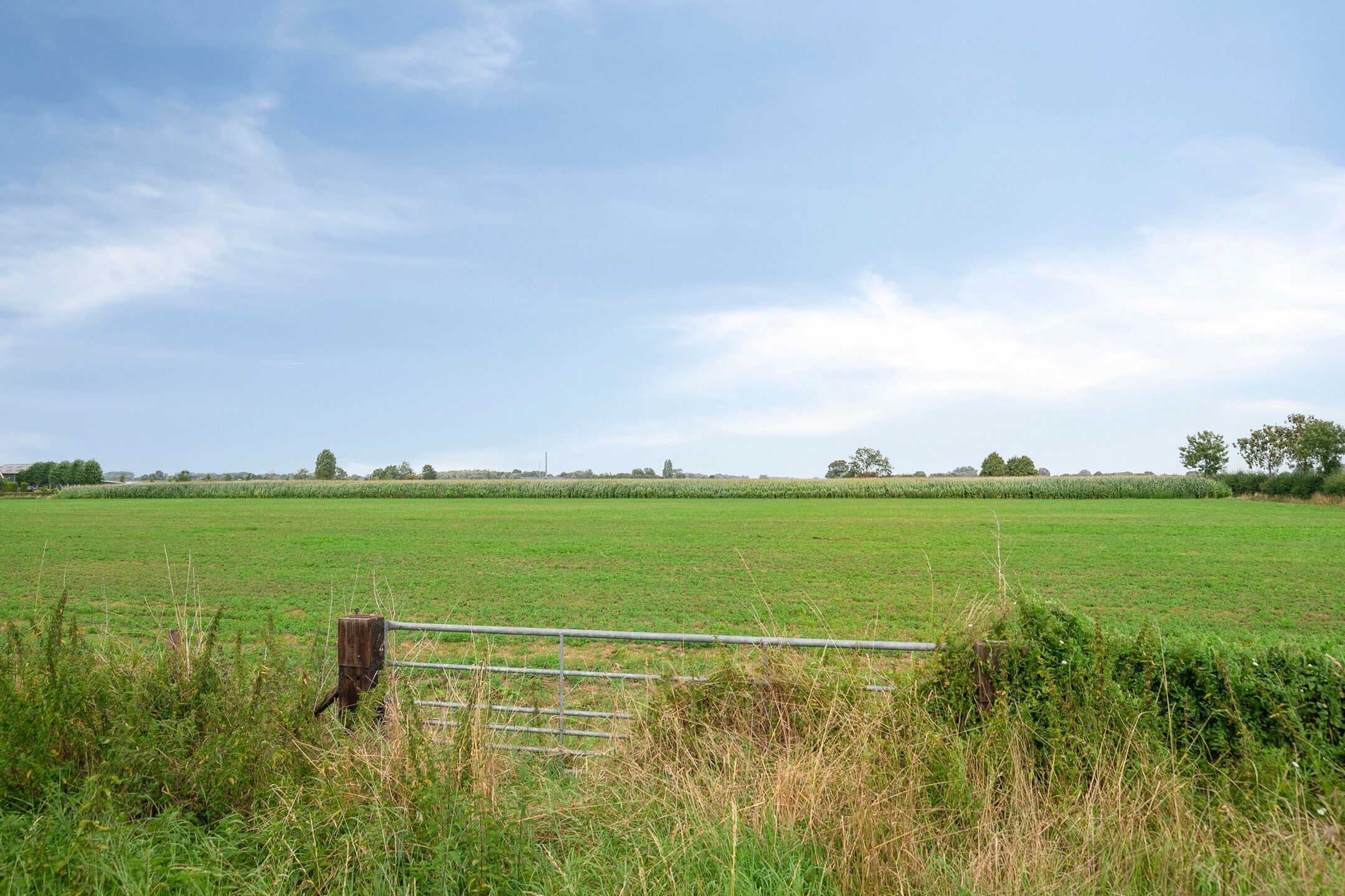 Foto 3 van Schaardijkseweg 7