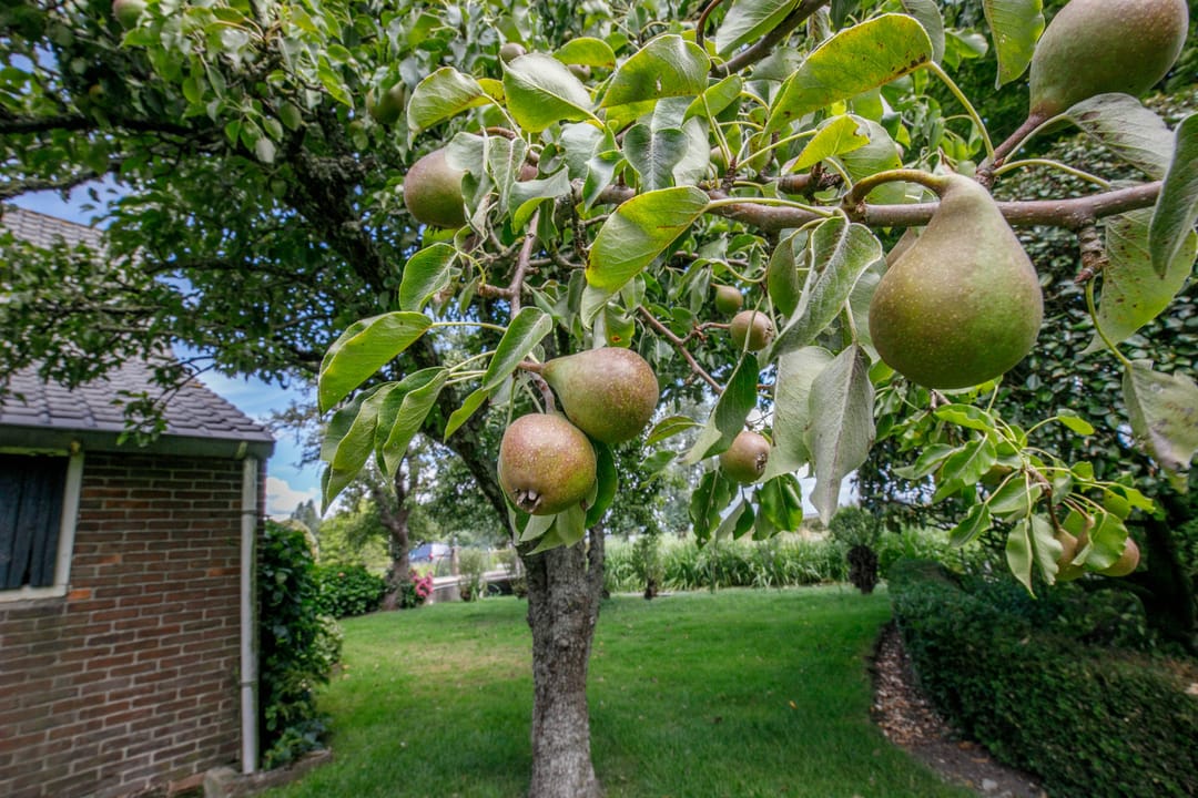 Foto 41 van 1e Tochtweg 18