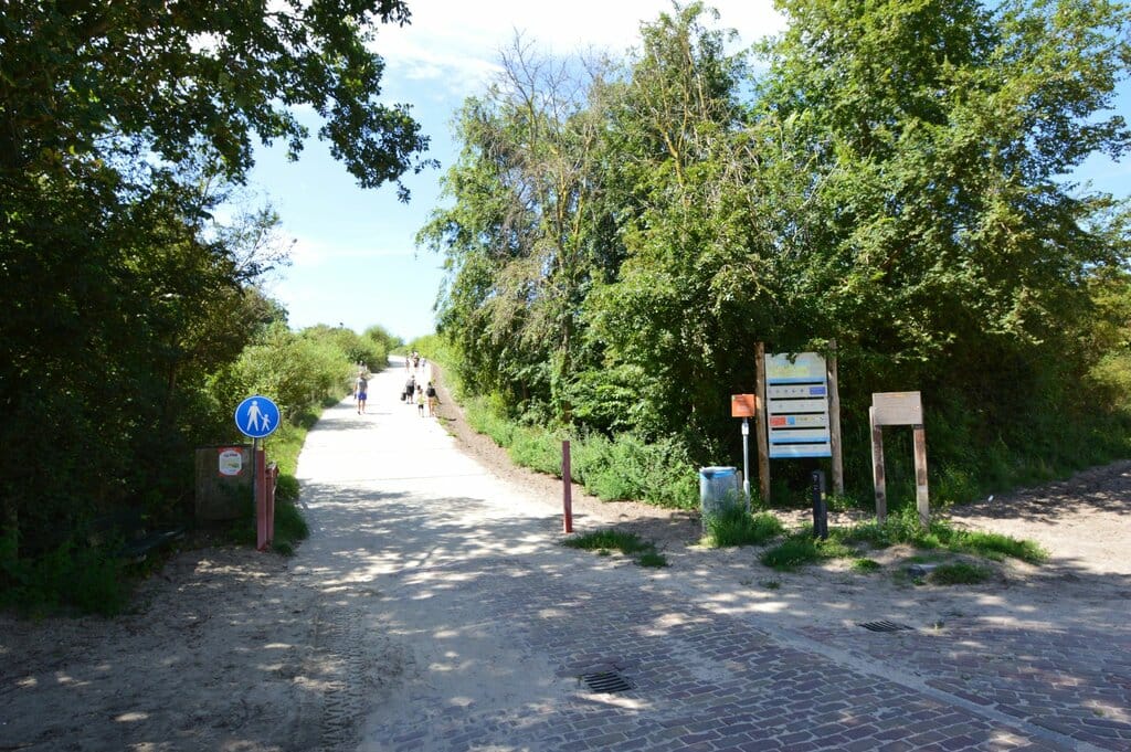 Foto 49 van John O. Forfarstraat 41