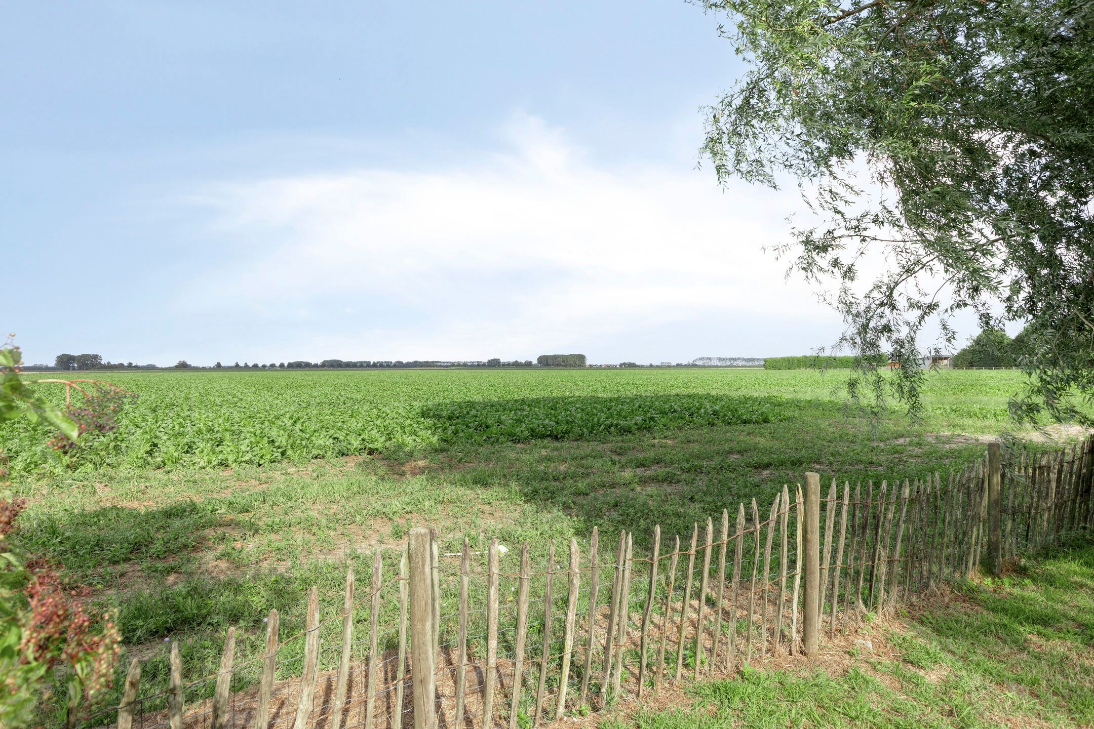 Photo 36 of Zandbergsestraat 28