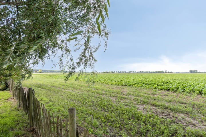 Foto 41 van Zandbergsestraat 28