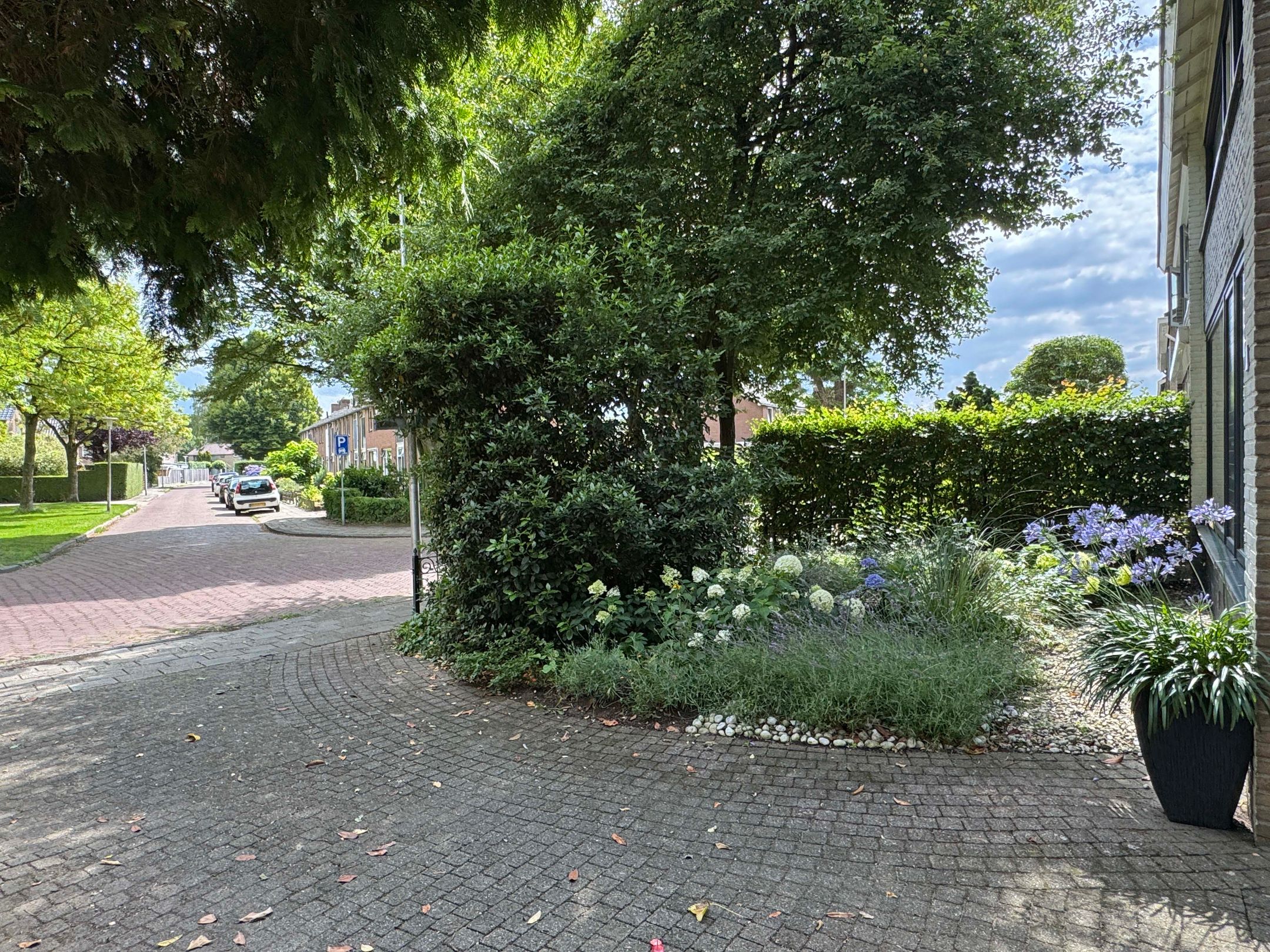 Foto 9 van Drostenstraat 55