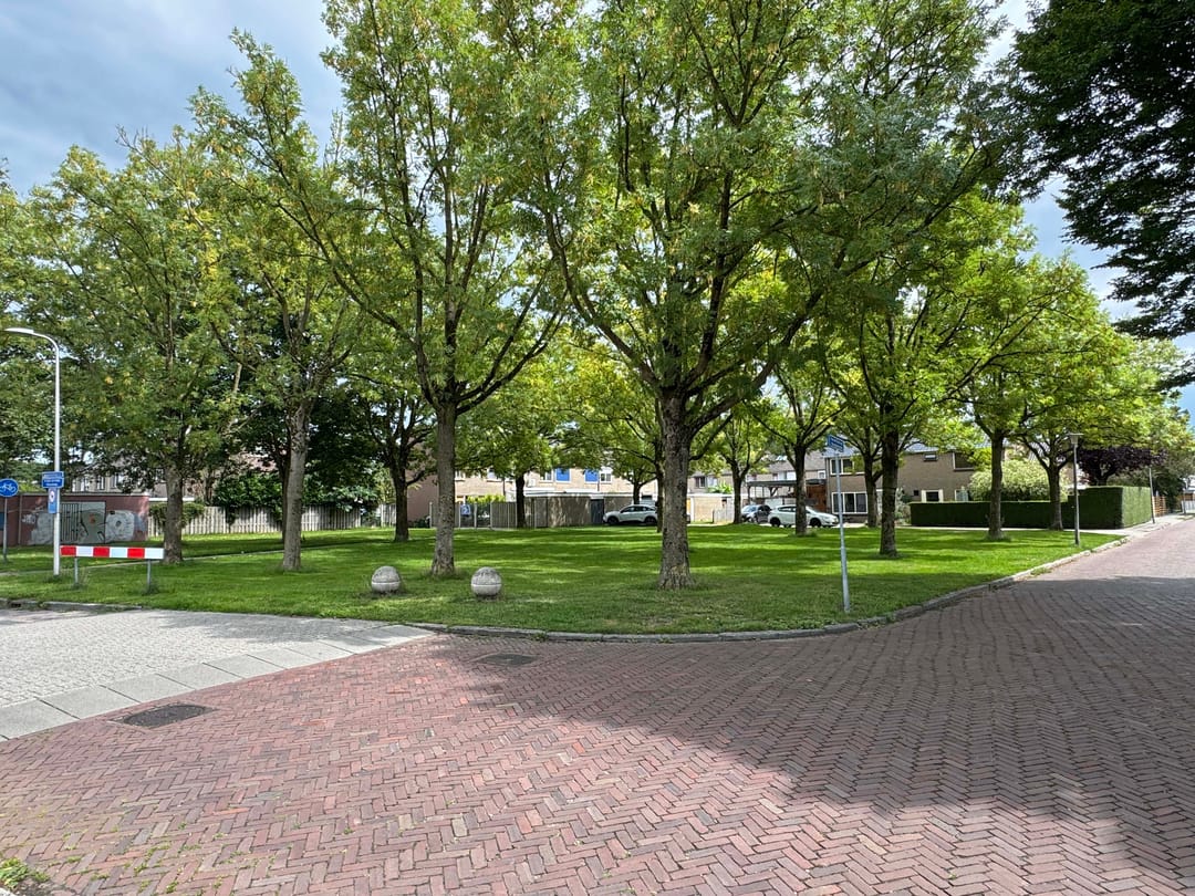 Foto 11 van Drostenstraat 55