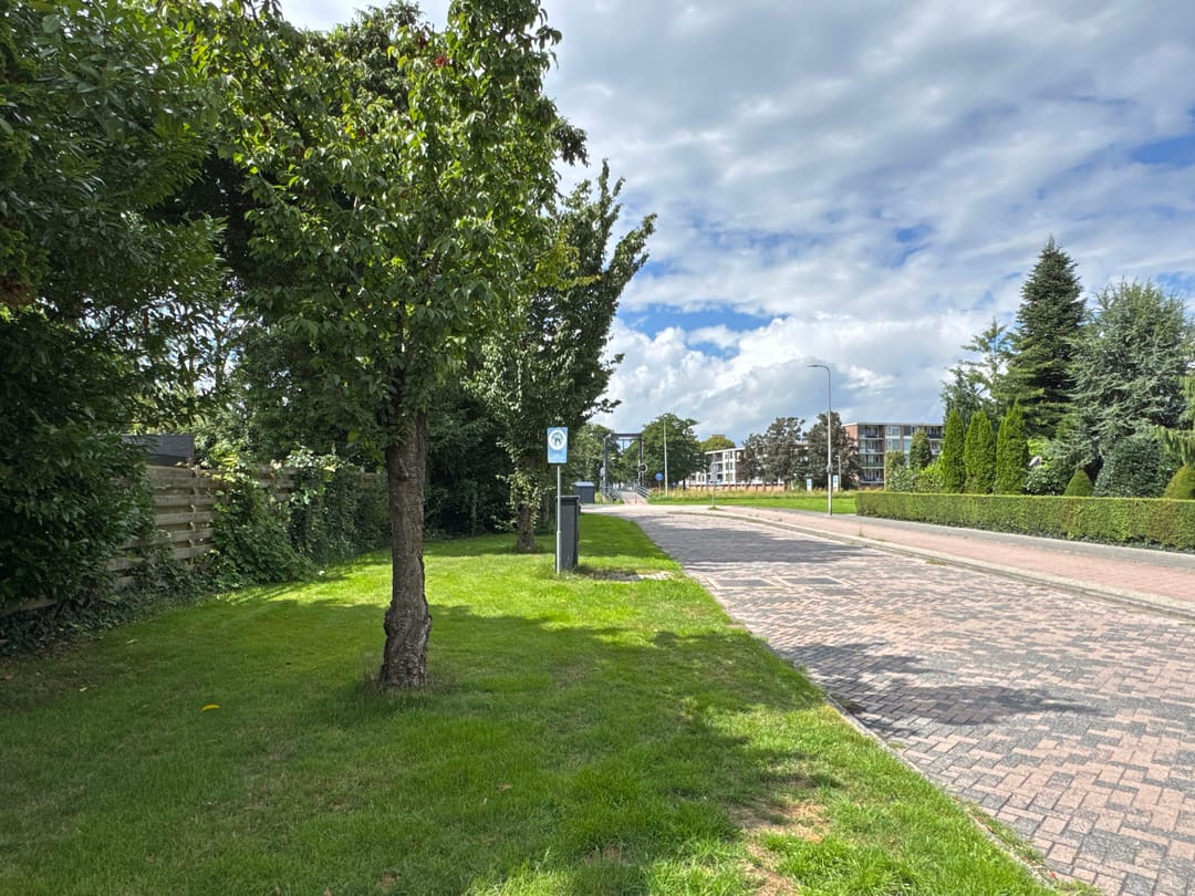 Foto 13 van Drostenstraat 55