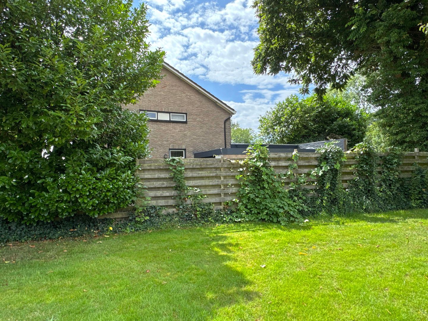 Foto 14 van Drostenstraat 55