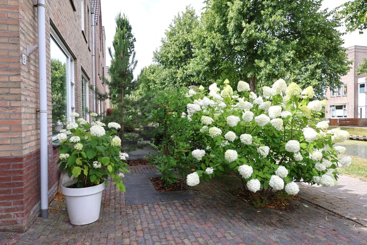 Foto 7 van Croleskwartier 8