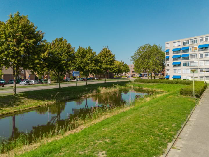 Foto 29 van Troelstrapad 11