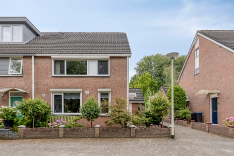 undefined main image