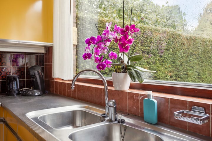 Foto 8 van Korte Bredestraat 40