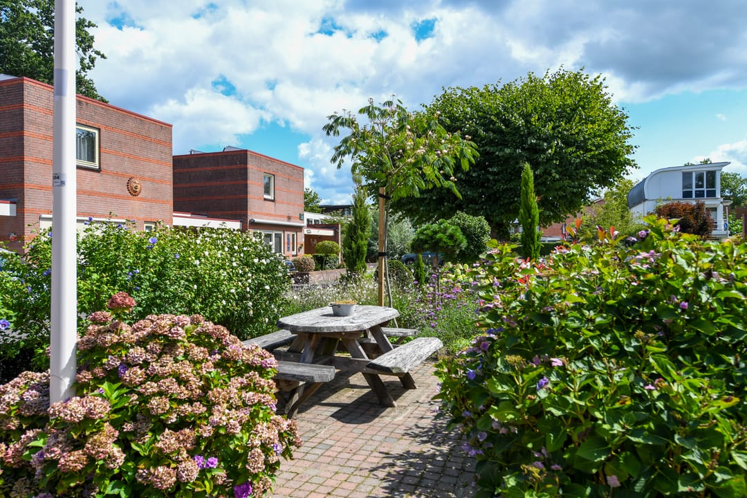 Photo 31 of 't Laar 3