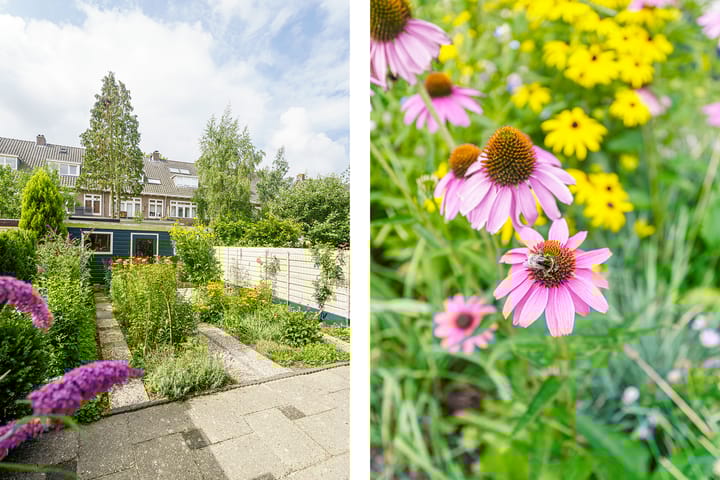 Foto 21 van Junoplantsoen 105