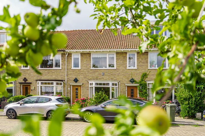 Foto 40 van Junoplantsoen 105