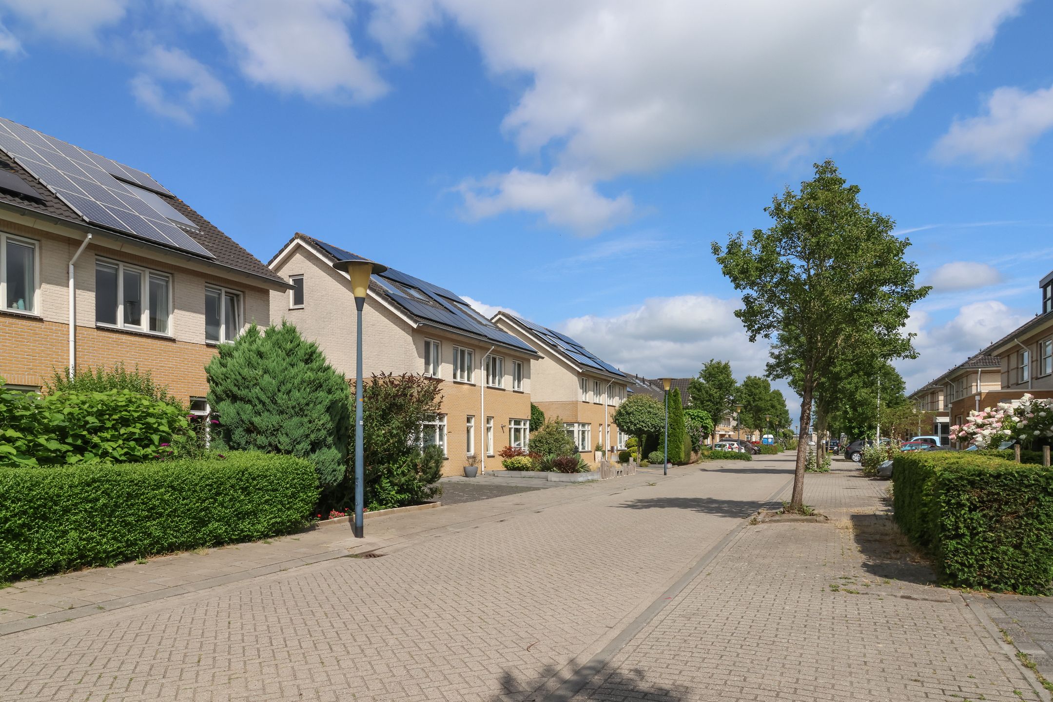 Photo 57 of Braksân 138