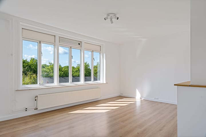 Foto 4 van Johan de Wittlaan 212-3