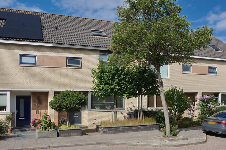 Reiger 59