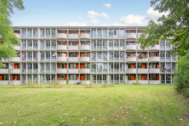 Foto 39 van Het Laagt 100