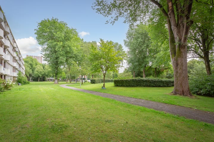 Foto 41 van Het Laagt 100